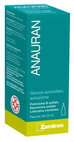 ANAURAN*GTT AURIC FL 25ML - doctorpill.it