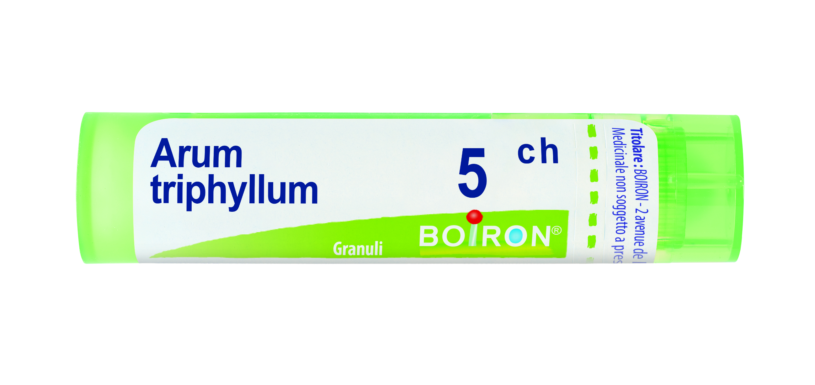 ARUM TRIPHYL BOI*5CH GR 4G - doctorpill.it