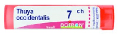 THUYA OCCIDENT 7CH GLOBULI - doctorpill.it