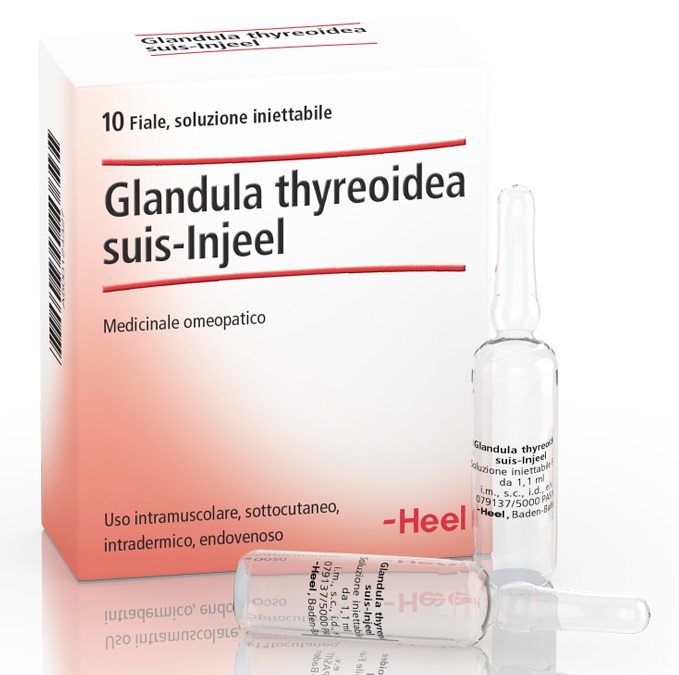 HEEL GLANDULA THYROIDEA SUIS INJEEL 10 FIALE - doctorpill.it