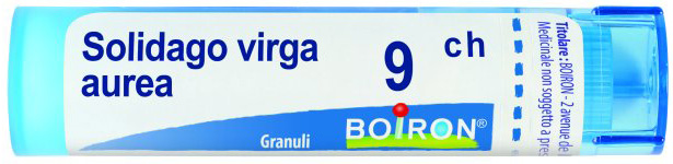 SOLIDAGO VIRGA AUREA 9CH GRANULI 4G - doctorpill.it