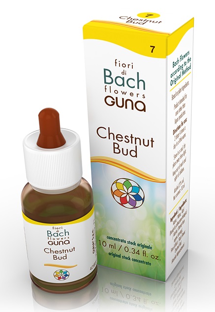 CHESTNUT BUD GOCCE 10 ML - doctorpill.it