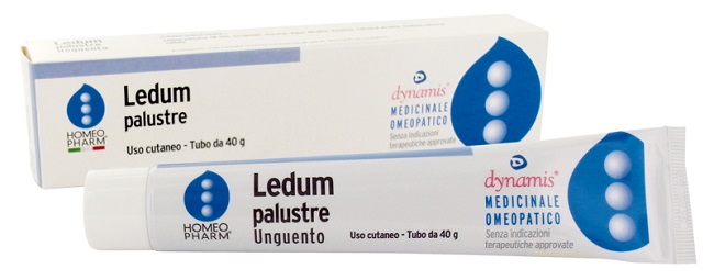 LEDUM PALUSTRE HOMEOPHARM UNGUENTO 40 G - doctorpill.it