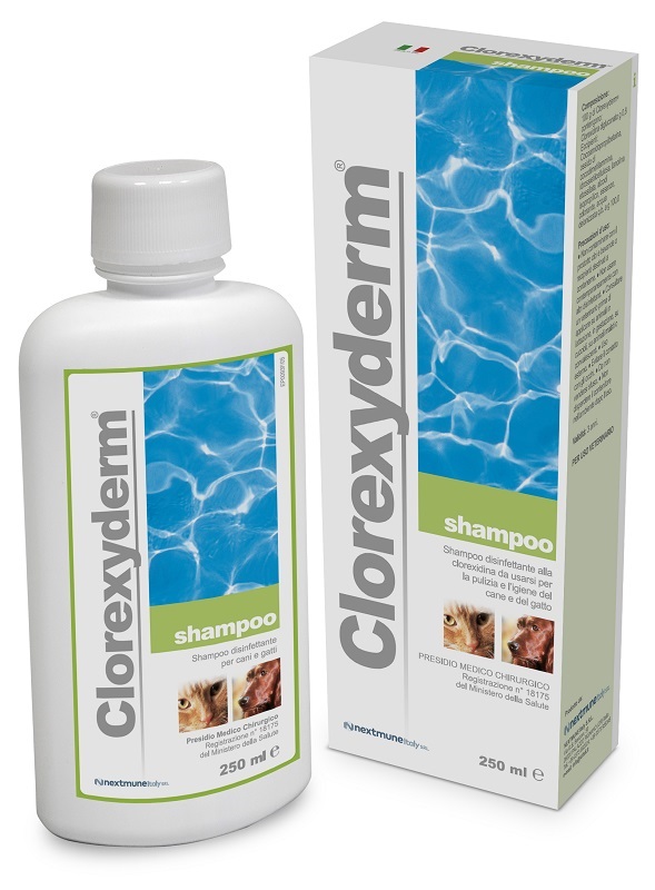 CLOREXYDERM SHAMPOO 250 ML - doctorpill.it
