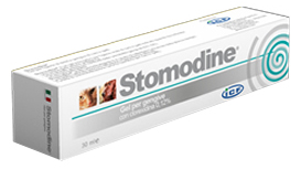 STOMODINE GEL GENGIVALE CANI 30 ML - doctorpill.it