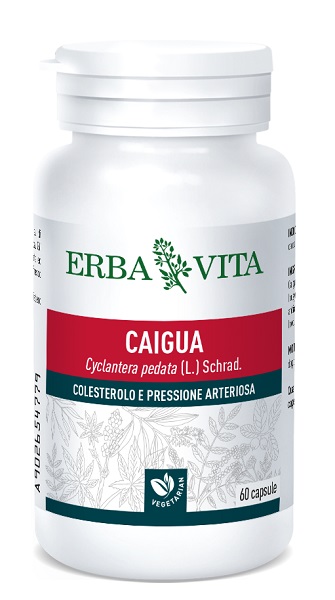CAIGUA 60 CAPSULE 400 MG - doctorpill.it