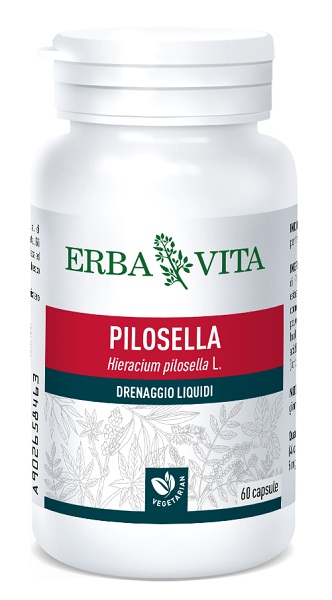 PILOSELLA 60 CAPSULE 400 MG - doctorpill.it