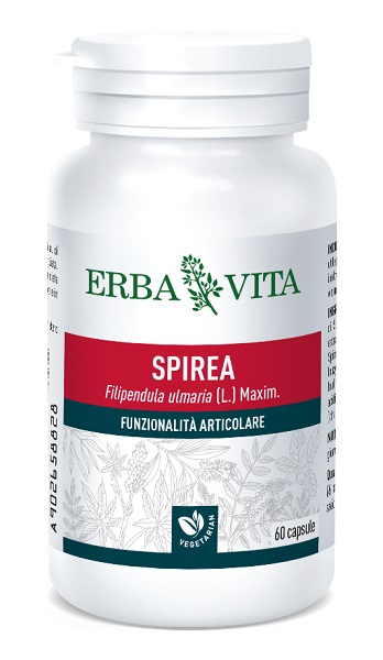 SPIREA ULMARIA 60 CAPSULE 400 MG - doctorpill.it