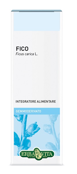 GEMMODERIVATO FICO 50 ML - doctorpill.it