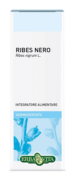 GEMMODERIVATO RIBES NERO 50 ML - doctorpill.it
