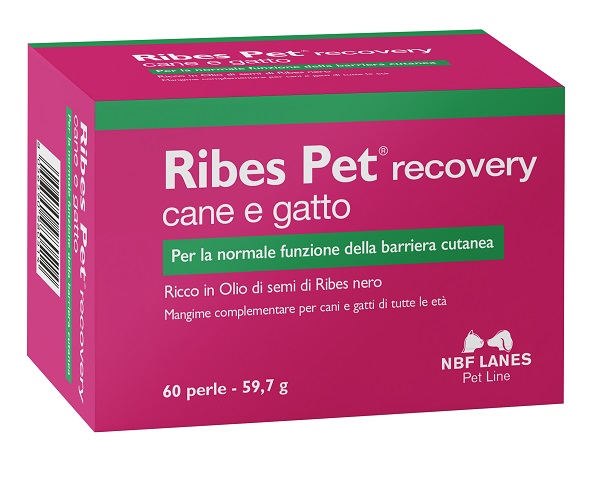 RIBES PET RECOVERY BLISTER 60 PERLE - doctorpill.it