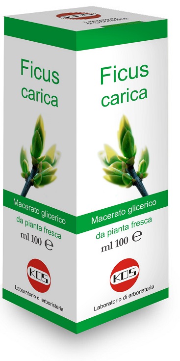FICUS CARICA MACERATO GLICERICO 100 ML - doctorpill.it