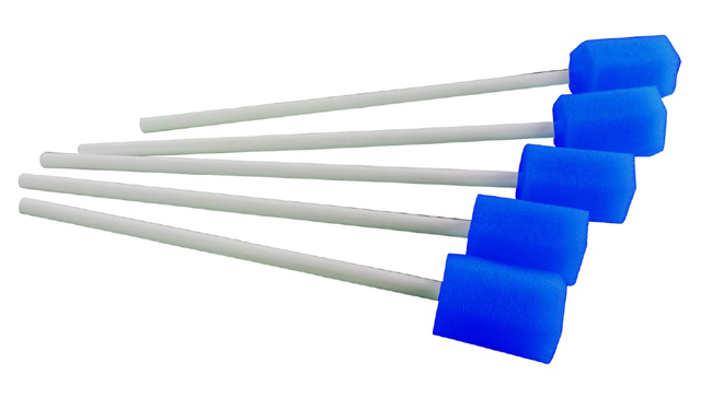 BASTONCINO PULIZIA CAVO ORALE 5 PEZZI - doctorpill.it