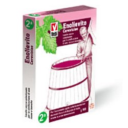 ENOLIEVITO CERVISIAE 100 G - doctorpill.it