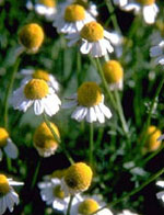 AZULIN GEL 40 ML - doctorpill.it