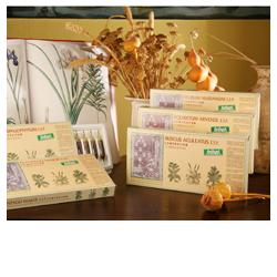 SILYBUM MAR COMP 12F STV - doctorpill.it