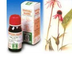 ECHINACEA 59 50ML TM - doctorpill.it