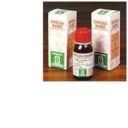 ERISIMO 61 50ML TM - doctorpill.it