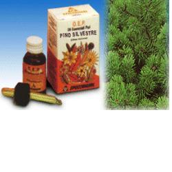 PINO SILVESTRE OLIO ESSENZIALE PURO 10 ML - doctorpill.it