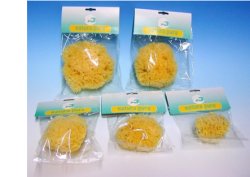 NATURA PURA SPUGNA NATURALE 10 BUSTE - doctorpill.it