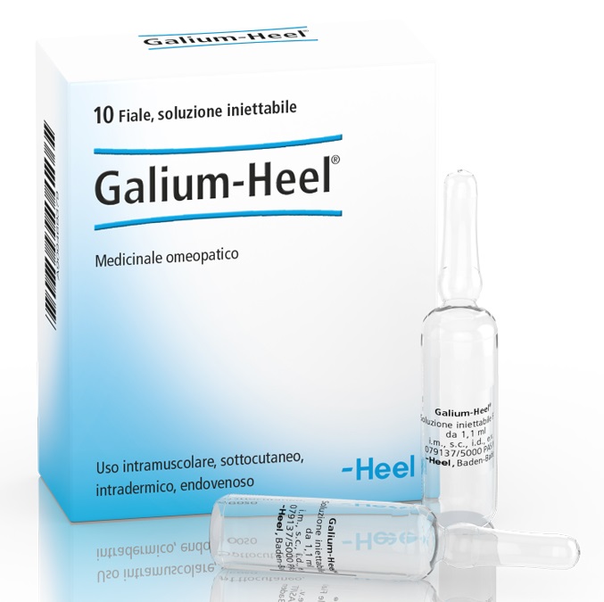 HEEL GALIUM 10 FIALE DA 1,1 ML L'UNA - doctorpill.it