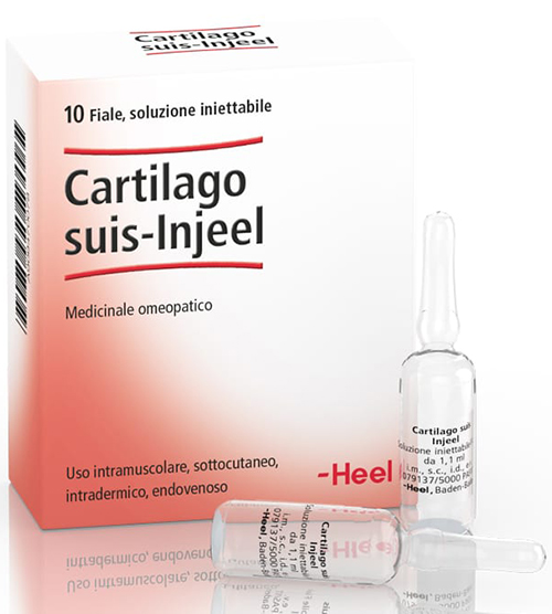 HEEL CARTILAGO SUIS INJEEL 10 FIALE - doctorpill.it