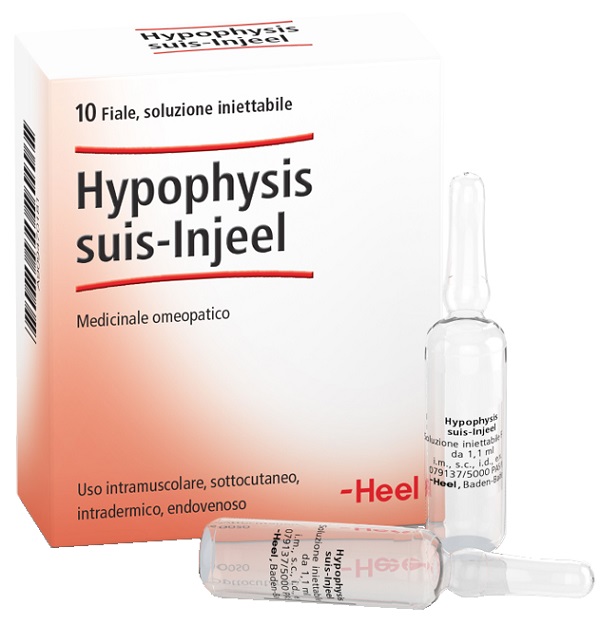 HEEL HYPOPHYSIS SUIS INJEEL 10 FIALE - doctorpill.it