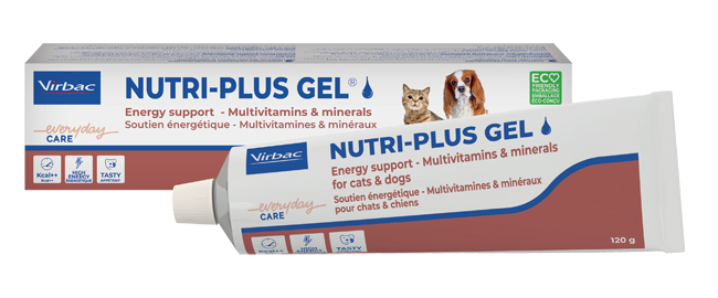 NUTRIPLUS GEL PASTA ORALE 120 G - doctorpill.it