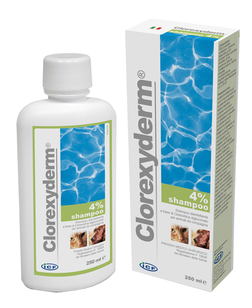 CLOREXYDERM SHAMPOO 4% 250 ML - doctorpill.it
