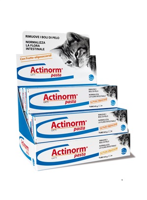 ACTINORM PASTA GATTI 65 G - doctorpill.it