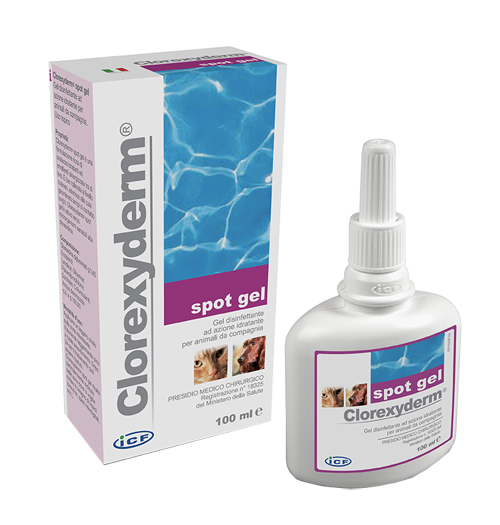 CLOREXYDERM SPOT GEL 100 ML - doctorpill.it