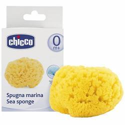 CHICCO SPUGNA MARE PICCOLA - doctorpill.it