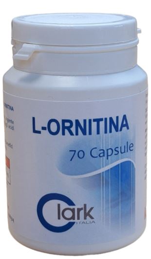 L ORNITINA 70 CAPSULE - doctorpill.it