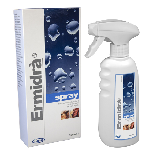 ERMIDRA' SPRAY 300 ML - doctorpill.it