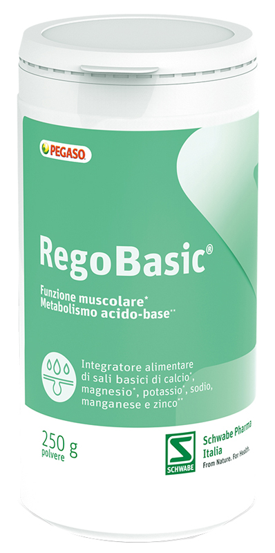 REGOBASIC POLVERE 250 G - doctorpill.it