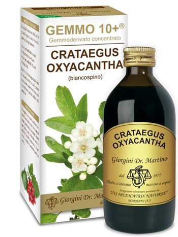 GEMMO 10+ BIANCOSPINO LIQUIDO ANALCOLICO 200 ML - doctorpill.it