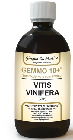 GEMMO 10+ VITE LIQUIDO ANALCOLICO 100 ML - doctorpill.it