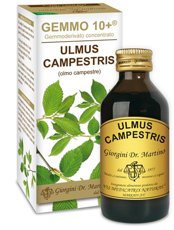 GEMMO 10+ OLMO CAMPESTRE 100 ML LIQUIDO ANALCOLICO - doctorpill.it