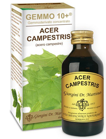 GEMMO 10+ ACERO CAMPESTRE 100 ML LIQUIDO ANALCOLICO - doctorpill.it
