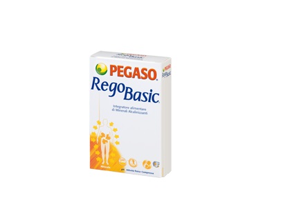 REGOBASIC 12 BUSTINE POLVERE - doctorpill.it