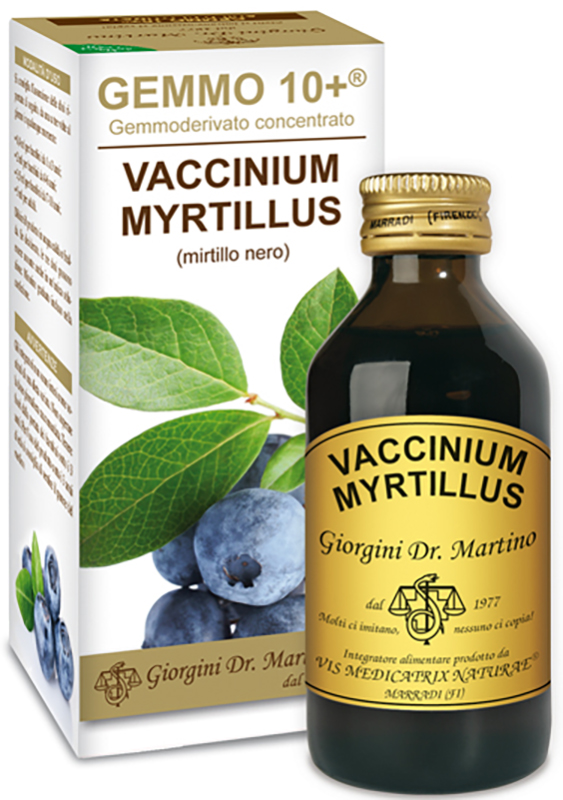 GEMMO 10+ GEMMODERIVATO CONCENTRATO VACCINIUM MYRTILLUS MIRTILLO NERO SENZA ALCOOL 100 ML - doctorpill.it