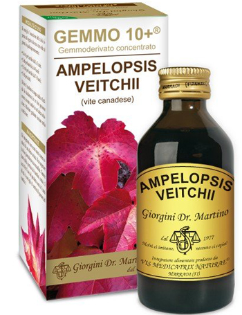 VITE CANADESE 100 ML LIQUIDO ANALCOLICO GEMMO +10 - doctorpill.it