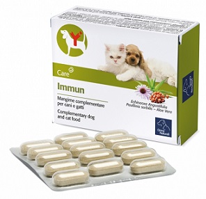 IMMUN 60 COMPRESSE - doctorpill.it