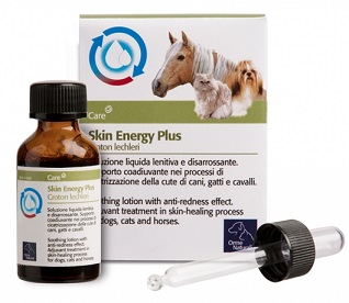 AKIN ENERGY PLUS CROTON 20 ML - doctorpill.it
