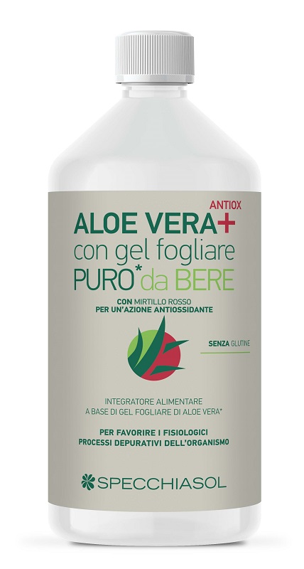 SUCCO ALOEVERA+ ALOE/MIRTILLO ROSSO 1 LITRO - doctorpill.it