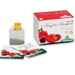 INFUSO BIO FRAGOLA E LAMPONE 20 FILTRI - doctorpill.it