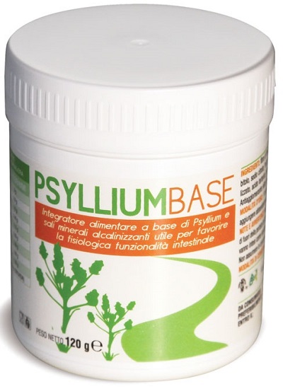 PSYLLIUM BASE POLVERE 120 G - doctorpill.it