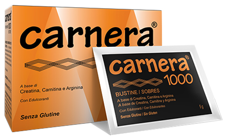 CARNERA 1000 18 BUSTINE - doctorpill.it