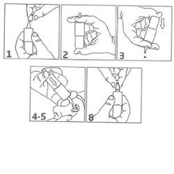 SOLUZIONE OFTALMICA ECTOAL FLACONE 10 ML - doctorpill.it