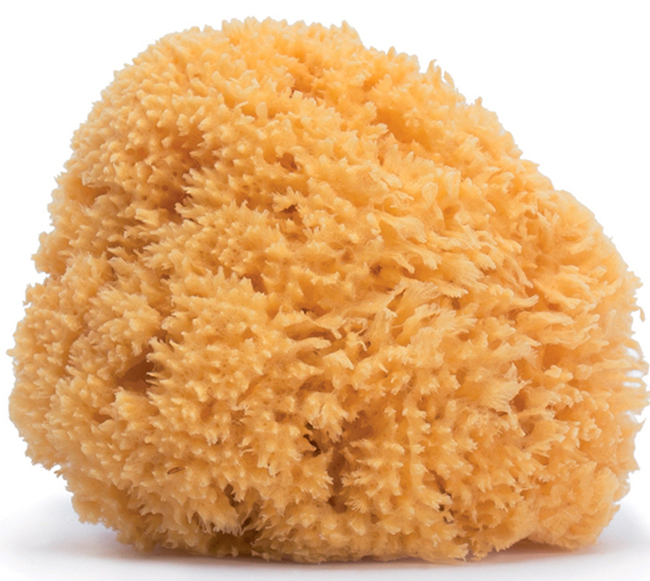 SUAVINEX HYGGE SPUGNA NATURALE MEDIA - doctorpill.it